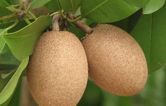 微信截圖_20190226112510