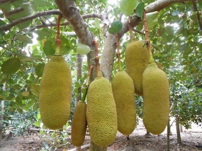 微信圖片_20190307110511