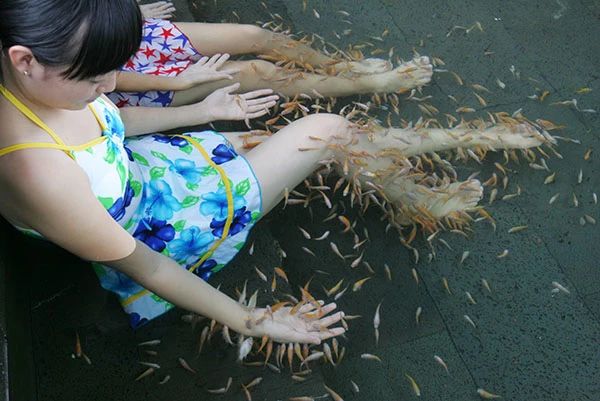 微信圖片_20190307110536