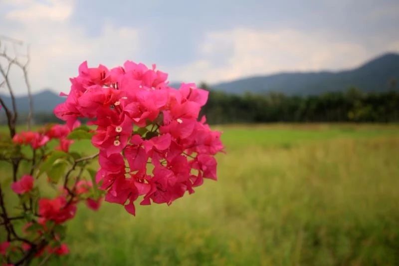 微信圖片_20190307110454