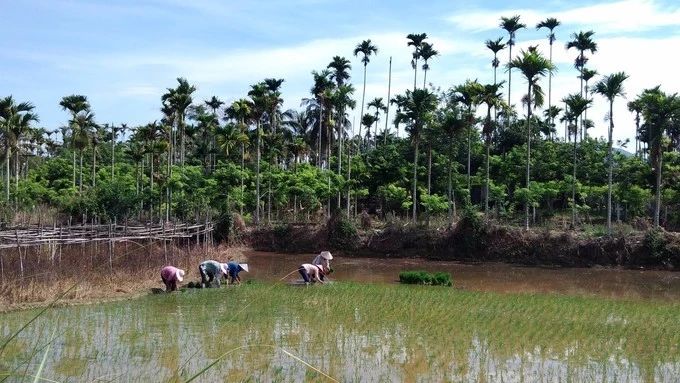 微信圖片_20190307110509