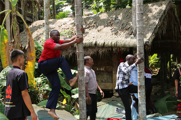 非洲記者團成員挑戰爬檳榔樹_副本 非洲記者團成員挑戰爬檳榔樹_副本