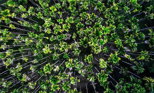 微信圖片_20190514145611 微信圖片_20190514145611