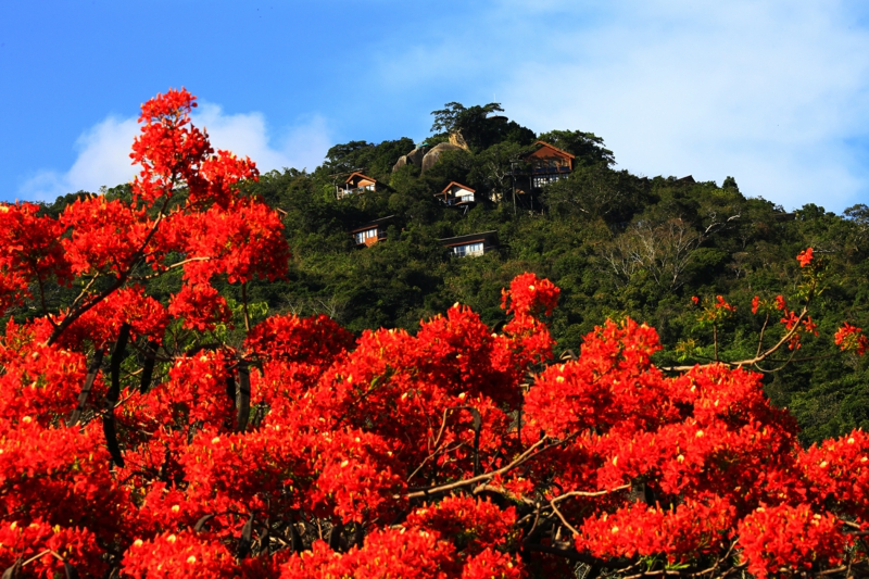 微信圖片_20190514175532(1)