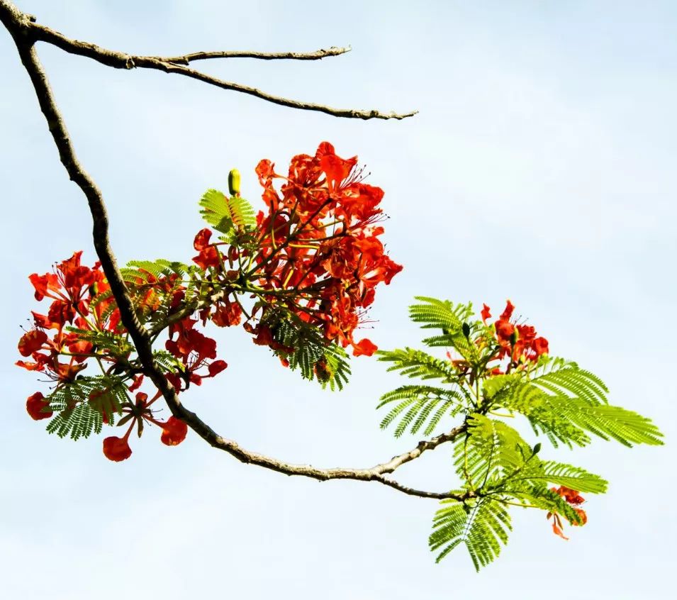 微信圖片_20190524192253 微信圖片_20190524192253