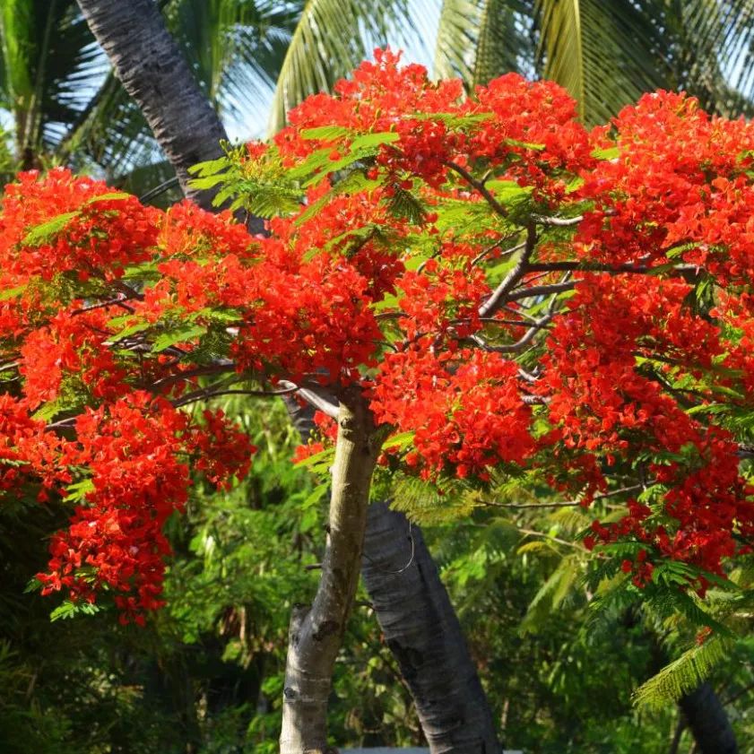 微信圖片_20190524192204 微信圖片_20190524192204