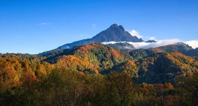 微信圖片_20190527194838 微信圖片_20190527194838