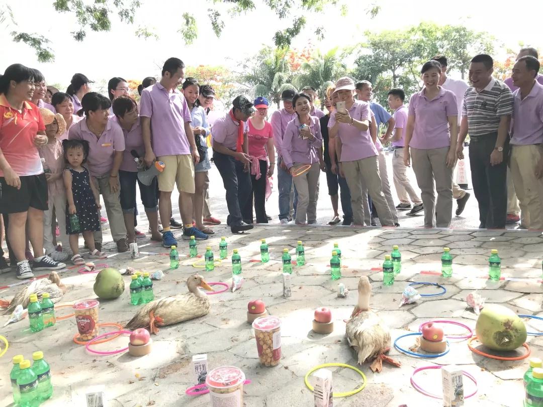 微信圖片_20190527094920 微信圖片_20190527094920