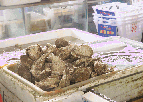 微信圖片_20190529100409 微信圖片_20190529100409