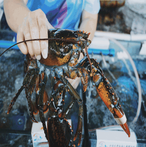 微信圖片_20190529100405 微信圖片_20190529100405