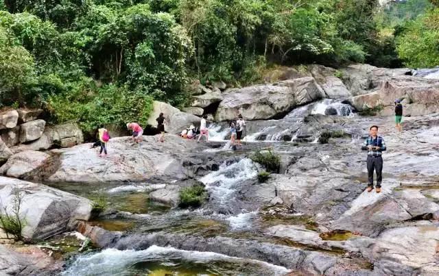 微信圖片_20190605150909