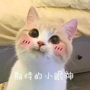 微信圖片_20190709102613 微信圖片_20190709102613