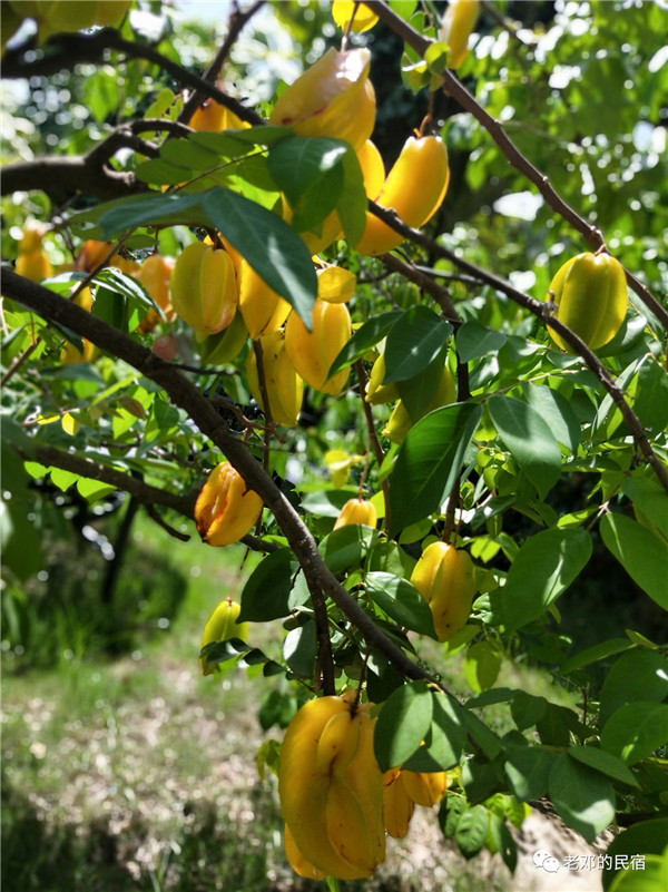 微信圖片_20190710084615