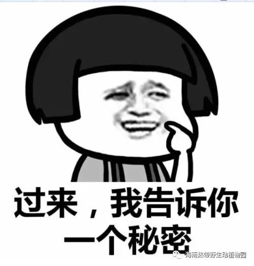 微信圖片_20190712100039 微信圖片_20190712100039