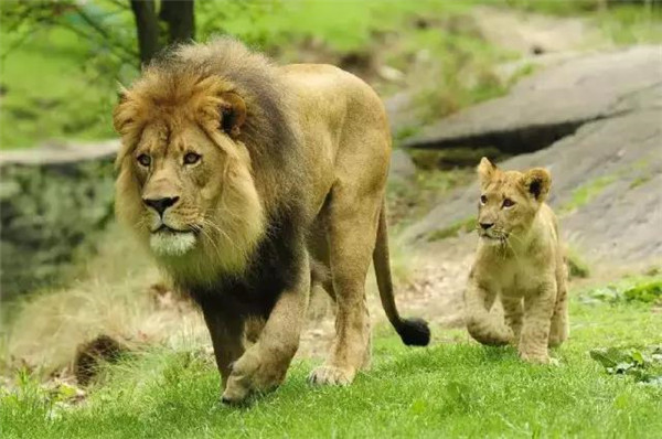 微信圖片_20190712095529 微信圖片_20190712095529