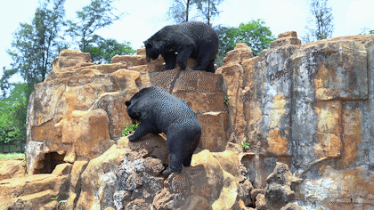 微信圖片_20190718153613