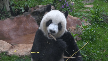 微信圖片_20190718153627