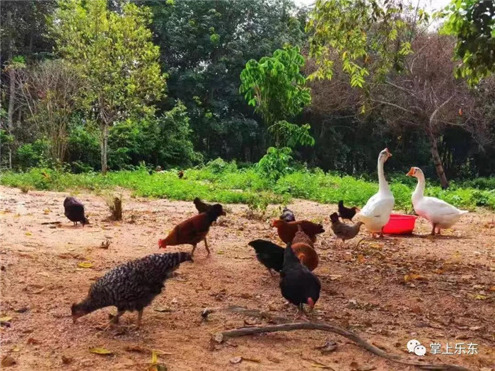 微信圖片_20190801085357 微信圖片_20190801085357