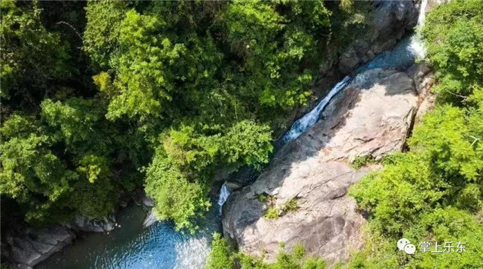 微信圖片_20190801085336 微信圖片_20190801085336