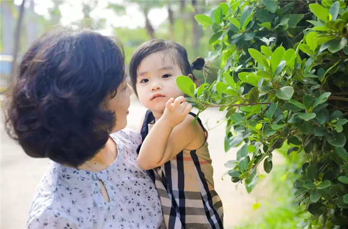 微信圖片_20190813100344 微信圖片_20190813100344