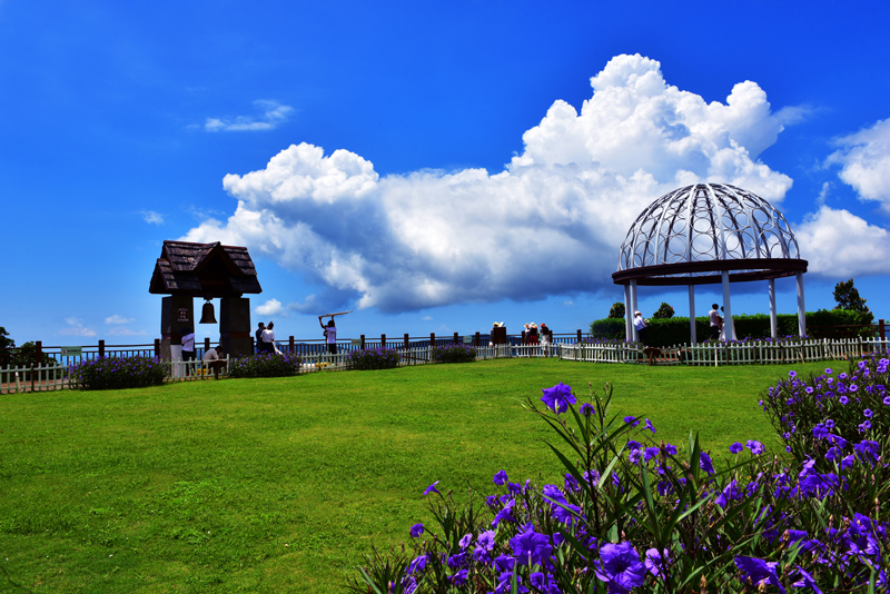 20190828170022_71879