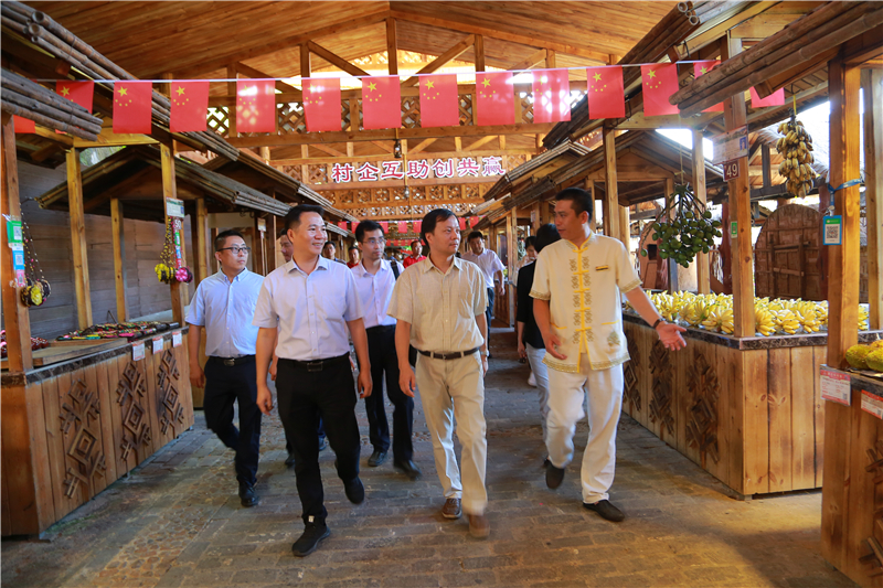 8、海南省商務(wù)廳黨組書記、廳長陳希一行到檳榔谷調(diào)研