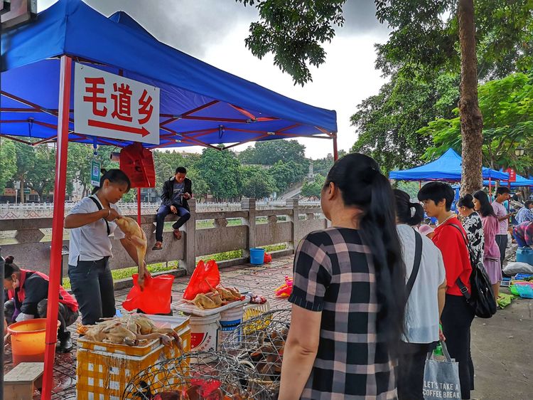 微信圖片_20191012155759