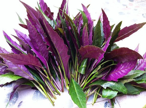 qxVcXHCU_fHxS qxVcXHCU_fHxS