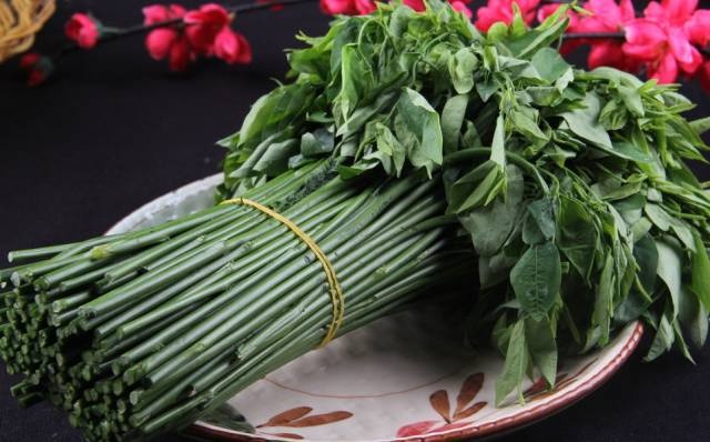 HaQh6G4S_MAb5 HaQh6G4S_MAb5