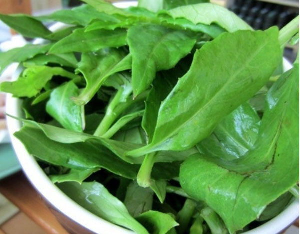 SsJE4ByX_QVfy SsJE4ByX_QVfy