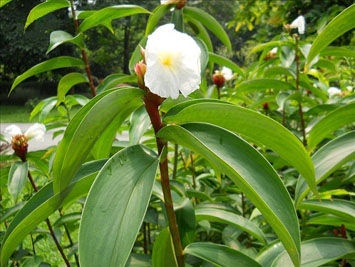 XwFO4sch_WmVC XwFO4sch_WmVC