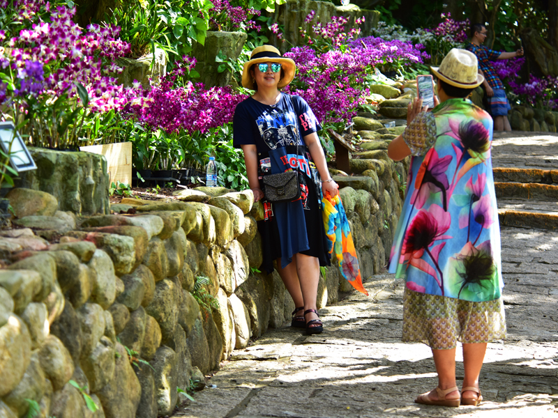 微信圖片_20191128090002