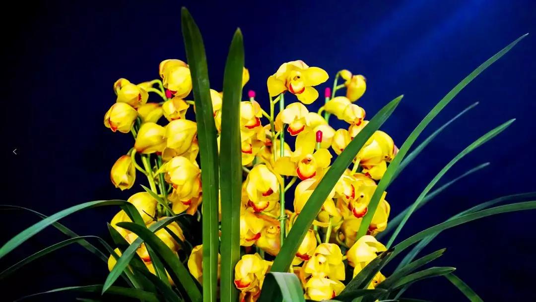 微信圖片_20191231150200 微信圖片_20191231150200