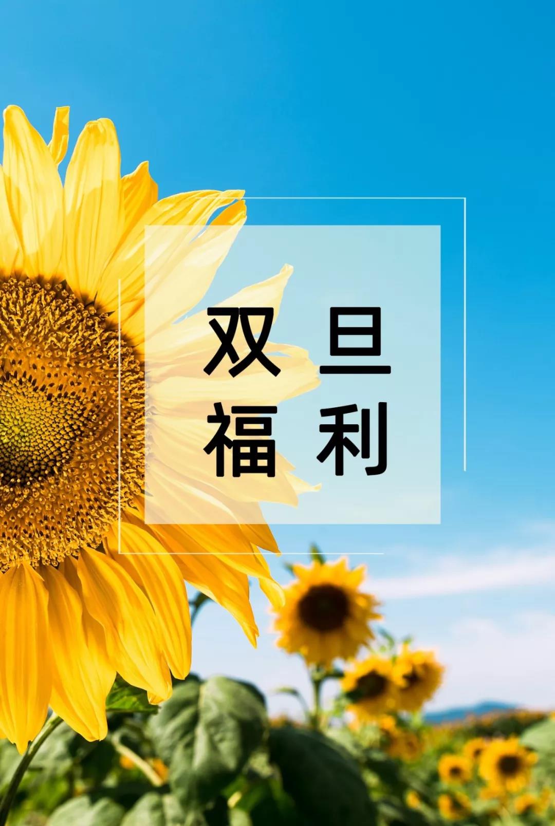 微信圖片_20191231150151 微信圖片_20191231150151