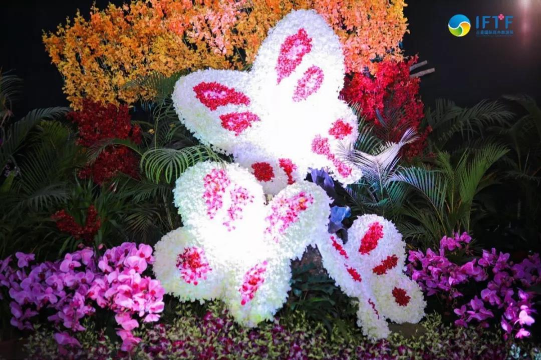 微信圖片_20191231150229 微信圖片_20191231150229