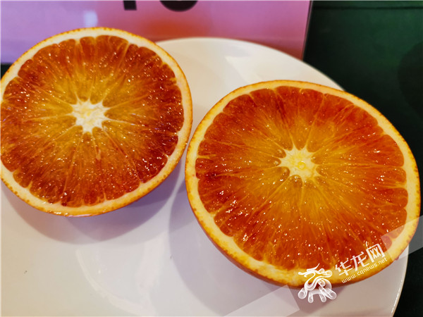 436f6159-90a5-4bf1-ae6e-96a52e7434eb 436f6159-90a5-4bf1-ae6e-96a52e7434eb