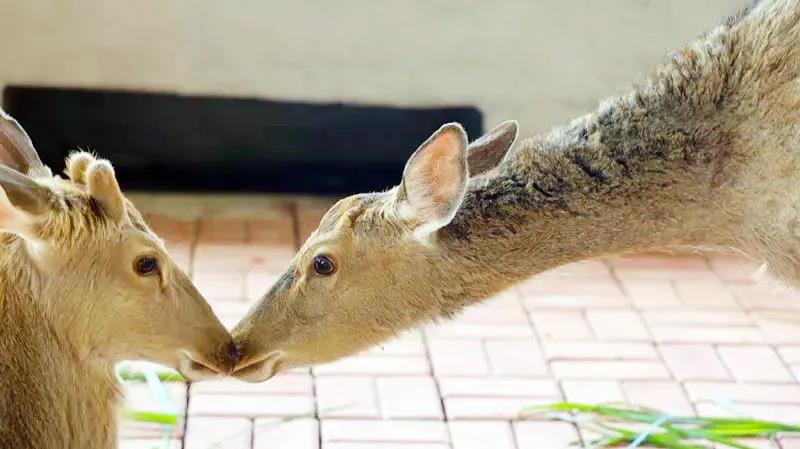 微信圖片_20200315115033