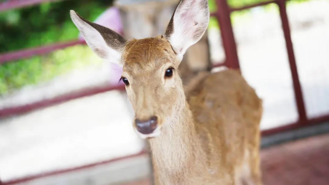 微信圖片_20200315115049