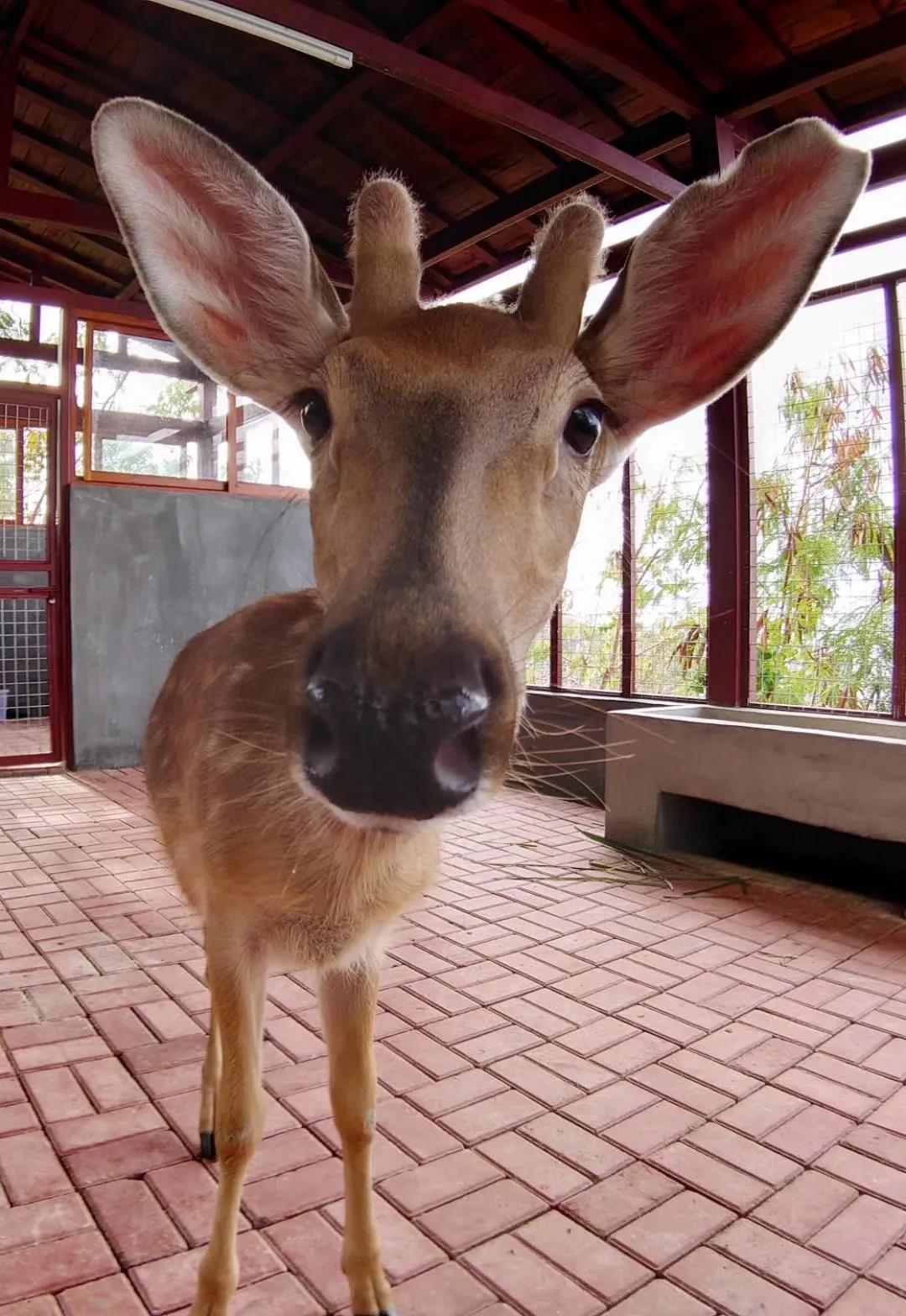 微信圖片_20200315115054