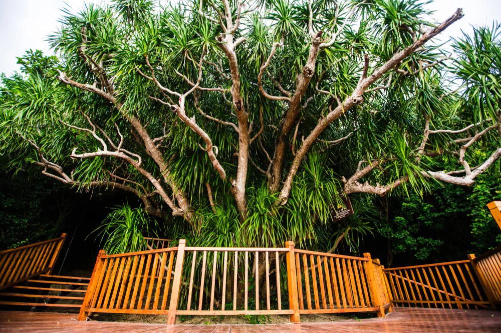 微信圖片_20200320154732