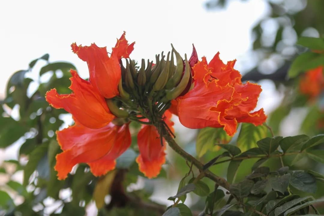 微信圖片_20200326094153 微信圖片_20200326094153