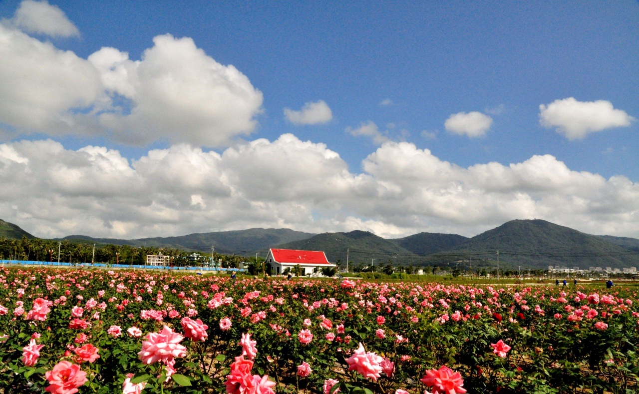 EQAuCN9O_Tfs8 EQAuCN9O_Tfs8