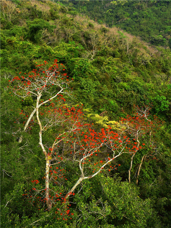 316228285 (1) 316228285 (1)