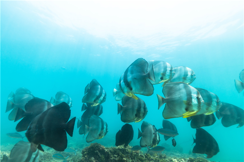 微信圖片_20200424151210 微信圖片_20200424151210