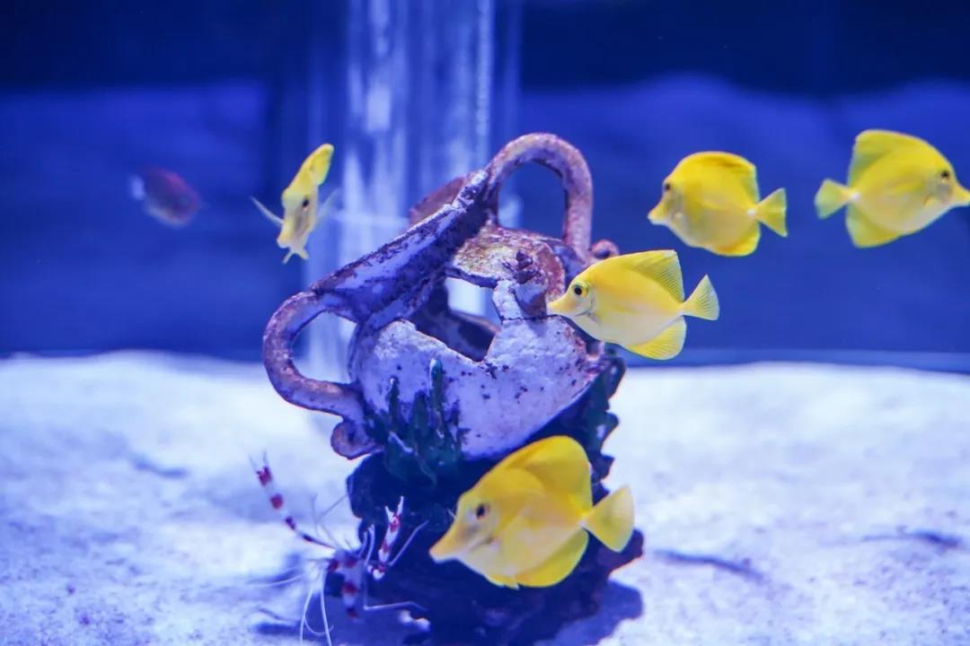 微信圖片_20200501125334 微信圖片_20200501125334