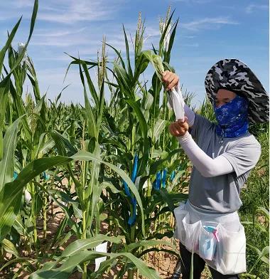 微信圖片_20200506144723 微信圖片_20200506144723