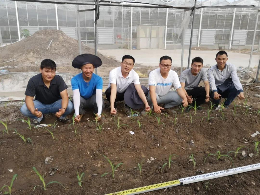 微信圖片_20200506144659 微信圖片_20200506144659