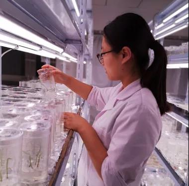 微信圖片_20200506144727 微信圖片_20200506144727