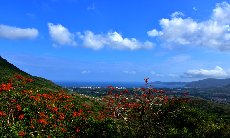 微信圖片_20200507181947 微信圖片_20200507181947