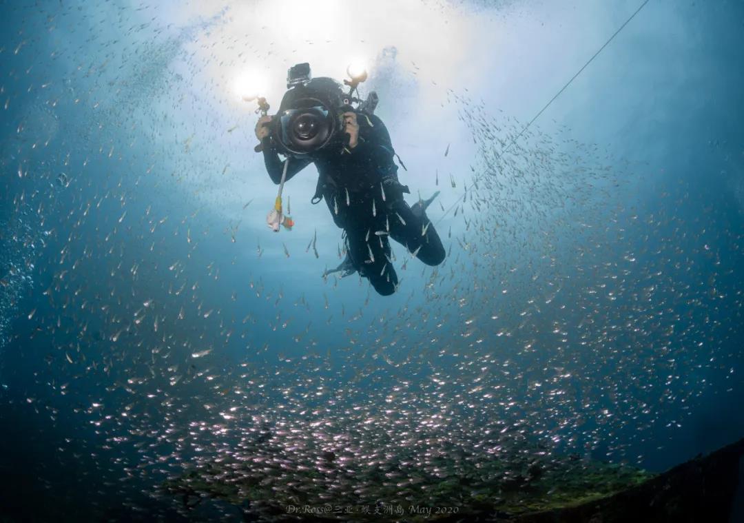 微信圖片_20200523154433 微信圖片_20200523154433